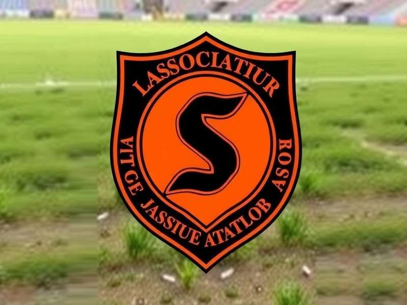 Main Football Pitch at Sangvi Sports Complex